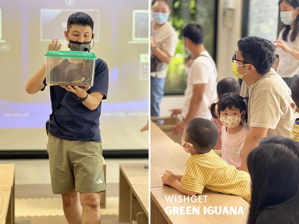 動物觀察_發現小恐龍09 .jpg